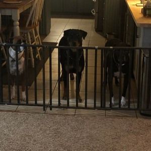 Meet your Posher, Brandy